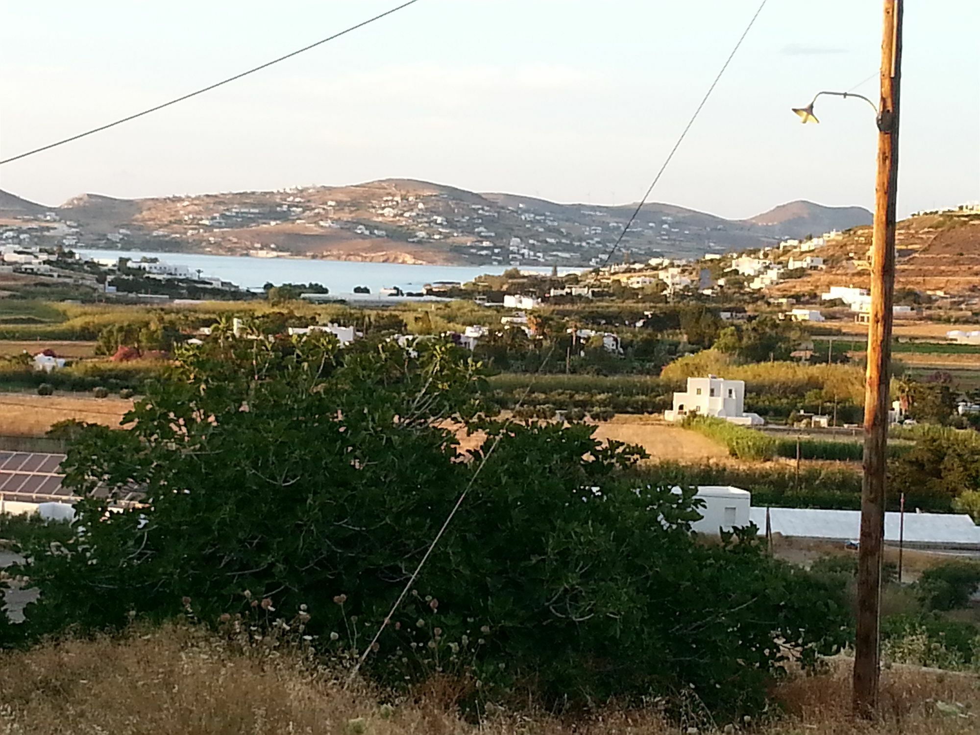 Mirsini *