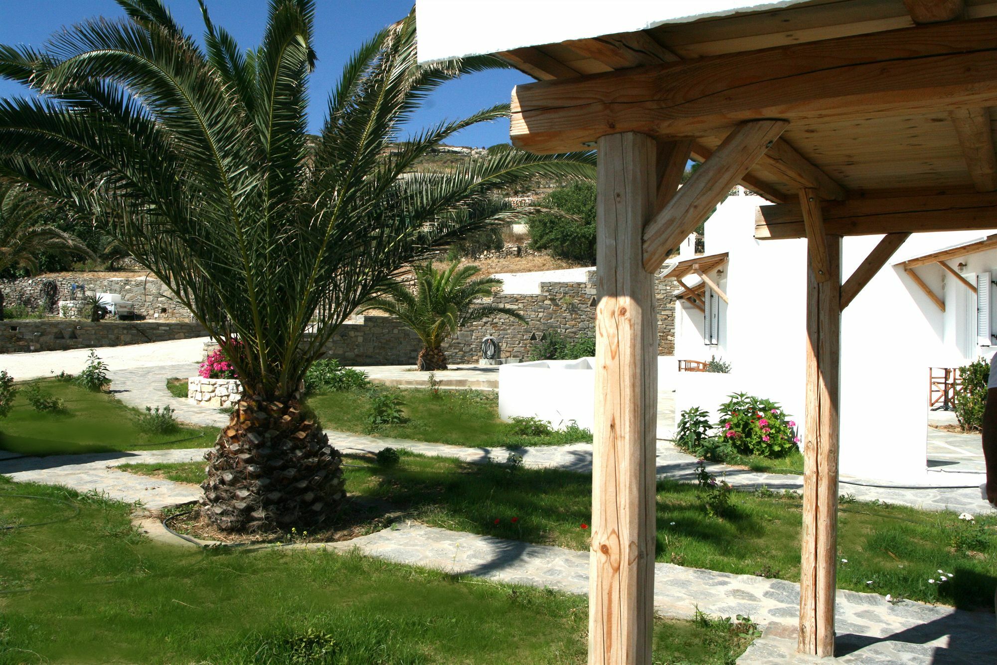 Mirsini * Parasporos